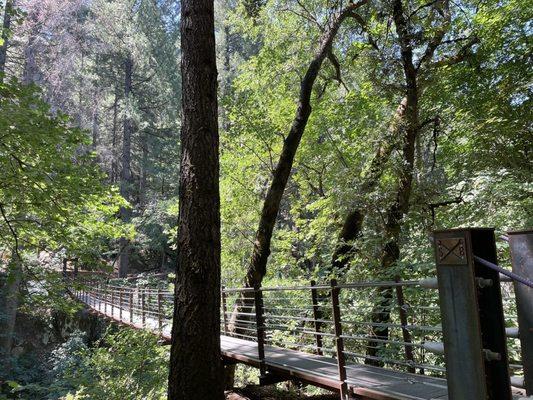 Tribute Trail in Nevada City