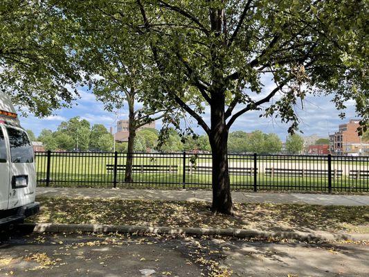 Lots of green space, a ball field, playground...