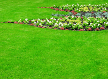 Santiago's Gardening