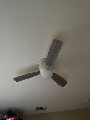 Ceiling light/fan