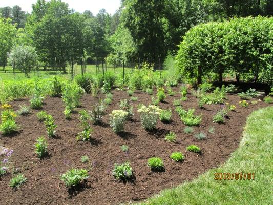 Planting and Mulch Services