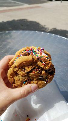 Ice cream sandwich with rainbow sprinkles.