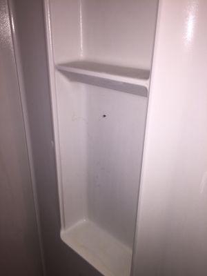 Spider egg sacs were everywhere in closets. This was a dead spider hanging in shower upon move in