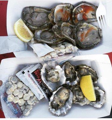 BluePoint (top) and Fannie Bay (bottom). For $36. Steep.