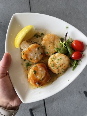 Scallops in white wine butter sauce