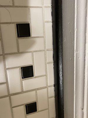 Black paint on my bathroom tile/grout!