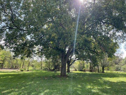 For Sale.  Located at 620 Garden Dr., Waco, Tx  3.78 acres. $149,900