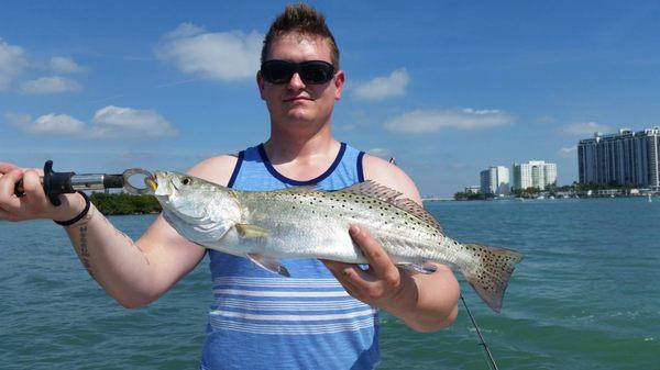 Sea Trout, Taste Great!