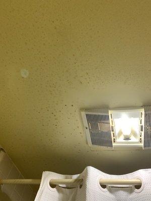 Bathroom ceiling