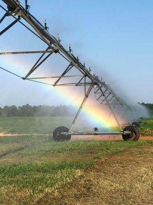 Irrigation producing rainbows