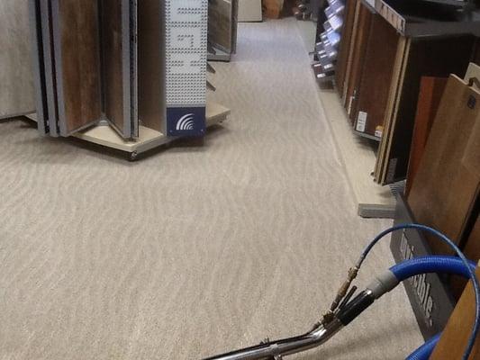 Cleaning carpet at a local Carpet One store.  This was a Karastan carpet