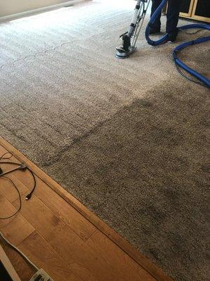 HydroSpa Carpet Cleaning