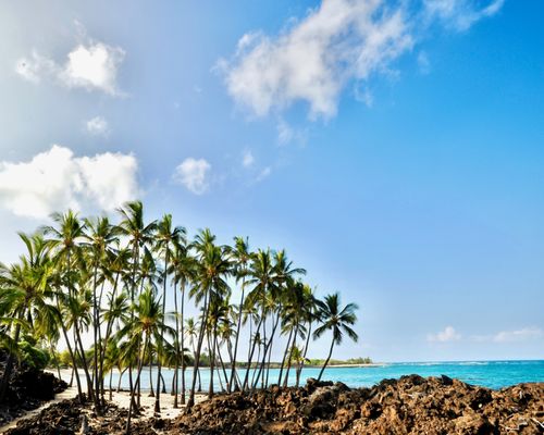 Secluded Beach Wedding