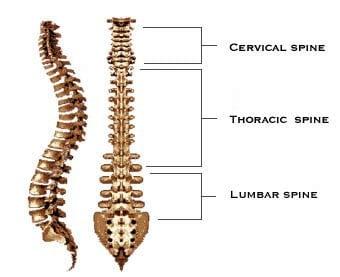 Vacaville Chiropractor Service