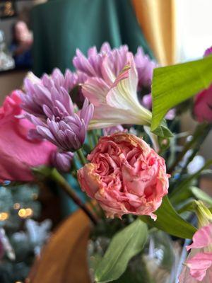 Dead carnation with other dead leaves