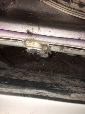 Hair and lint in dryer lint pocket