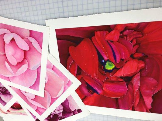 Fine art "giclee" prints on archival paper