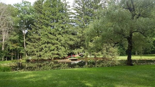 View from the Pond Cabin