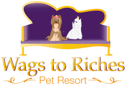 Wags to Riched Pet Resort, LLC