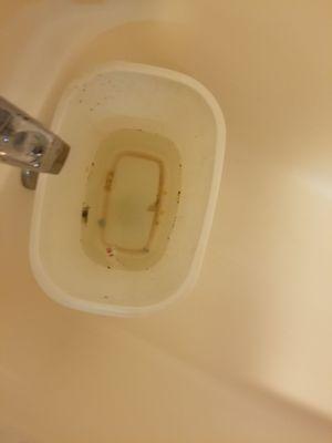 A dirty trashcan filled with filthy water left to sit inside of a bathtub. There is a cigarette butt in the water