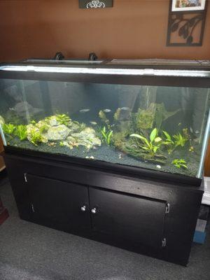 A 75 gallon installation,  with a custom stand built by us at Water Worlds Aquarium.