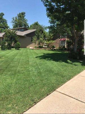 One of our client's beautiful yards.