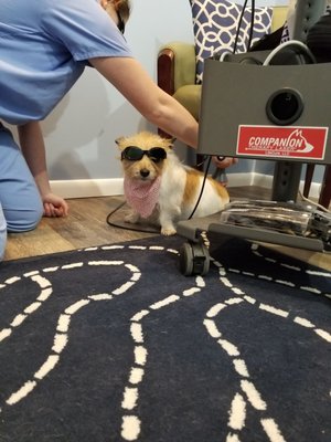 Laser therapy treatment