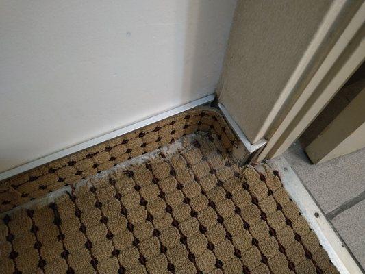 Ripped up carpet outside the bathroom