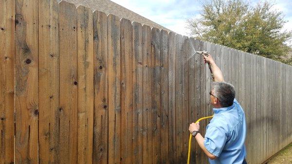 Cleaning the fence prior to staining.