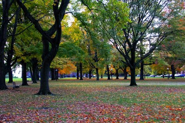 The STCC campus was honored as one of the 10 Most Beautiful Community College campuses in the U.S.