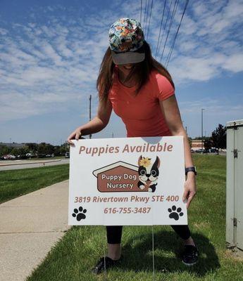 New signs out and about town!! Come get some free puppy cuddles today!!