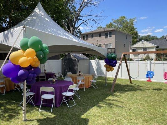 Mardi Gras Birthday: Tent, Chairs, Linens