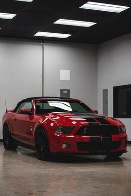 Paint Protection Film applied to this customer's
 2012 Mustang Shelby GT 500