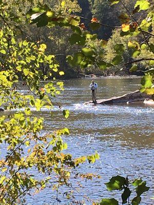 Fly fisherman, fly!