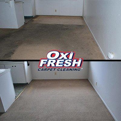 Oxi Fresh Carpet Cleaning