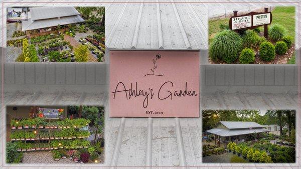 Ashley’s Garden