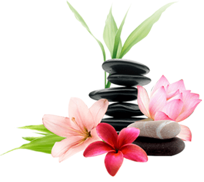 White Lotus Holistic Spa