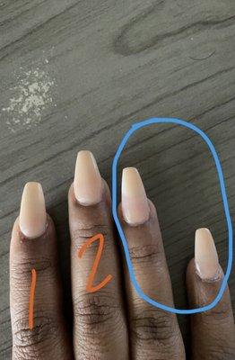 You can see the color through the lack of nude product they didn't want to waist also the different nail shapes.