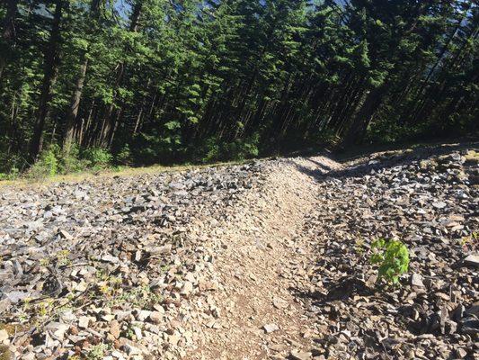 Wind Mountain Trailhead