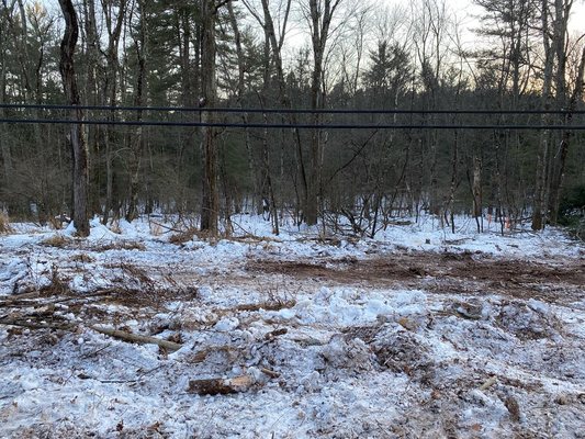 Land clearing for new house