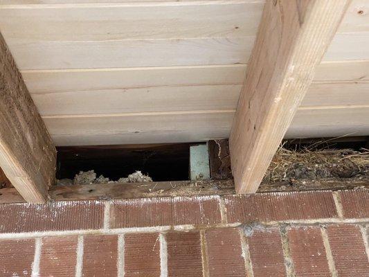 Rafters on rotted support beam.