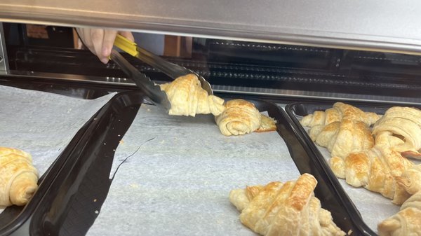 Cheese croissant! Delicious