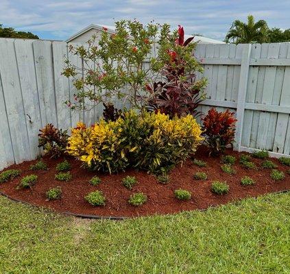 A Cutting Hedge 