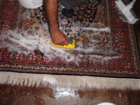 We Can Remove Stains and Urine from Persian and Oriental Rugs