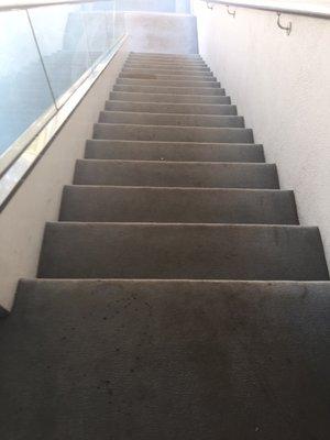 Stairs that has dirty carpet