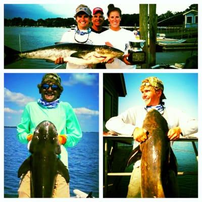 Fishing for cobia on Out Of The Blue Fishing Charters.