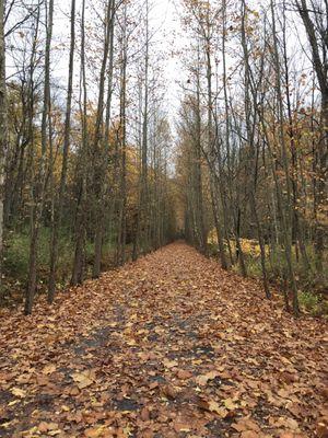 Rails to Trails runs beside the campground.