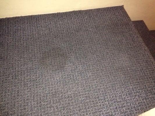 Stains on carpet probably from the dog that was here before us! Carpet still covered with dog hair!!