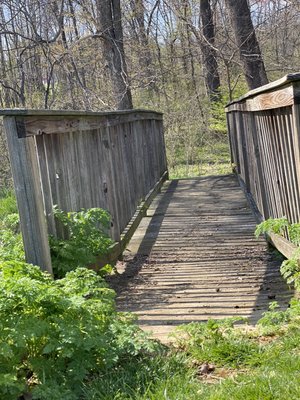 Walking trails located on campus allow our educators to bring curriculum and learning opportunities outdoors.