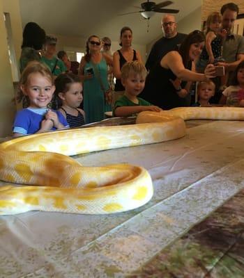 Worth the extra $$ for the Burmese Python